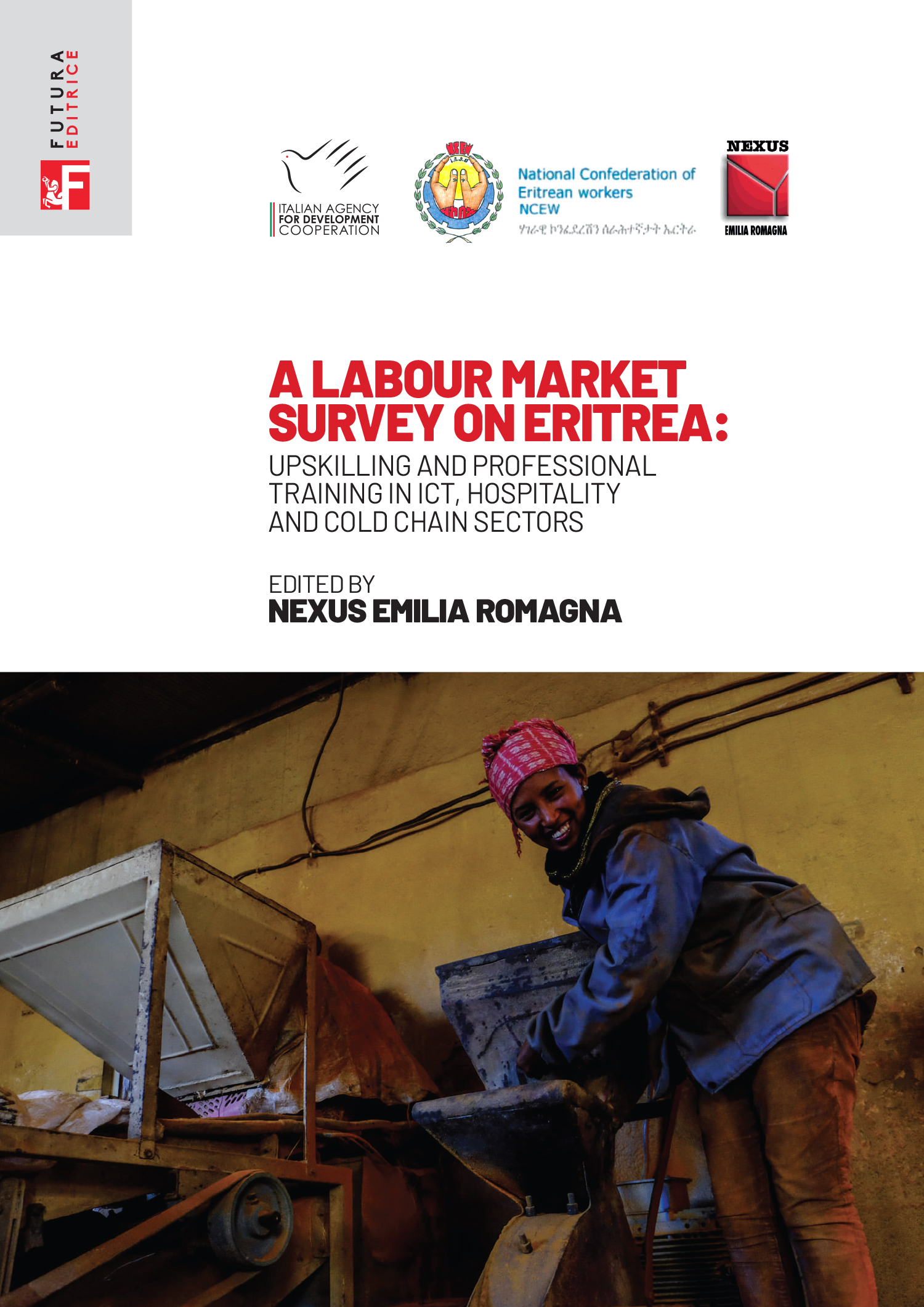 A labour market survey on Eritrea [EBOOK]